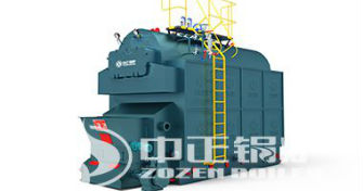 DZL系列生物質臥式蒸汽鍋爐